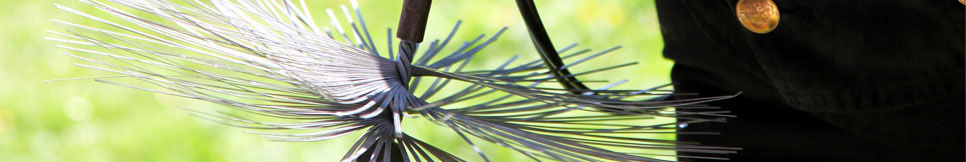 Banner - Bernd Maaß